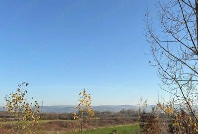 Teren de 18532 mp, în Gurasada - 4