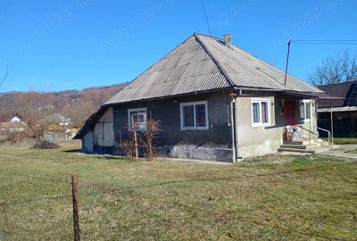 Casa +gradina - 6