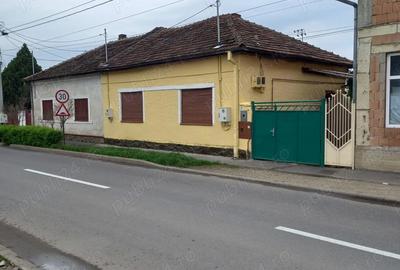 Casă cu 3 camere în Șega - 4