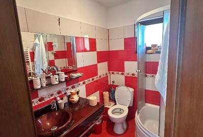 Vanzare vila superbă, P+1+Pod, Albota - 16