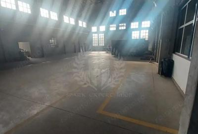 Spațiu comercial, de 3,500 mp, în Bereasca - 17