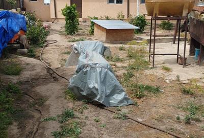 Casă cu 4 camere în Seaca - 5