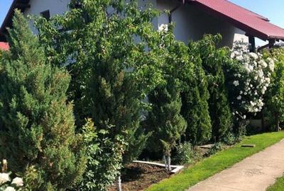 Vila - parter + mansarda - Sendreni, jud. Galati - 3