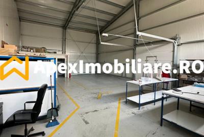 Spațiu comercial, de 550 mp, în Vest - 16