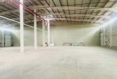 Hala - Drumul Intre Tarlale - Noua - Aviz ISU Hala - Drumul Intre Tarlale - Noua - Aviz ISU - 4