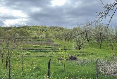 Casă cu 3 camere în Lopadea Nouă - 4