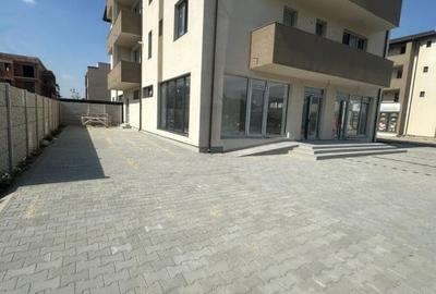 Inchiriere Spatiu Comercial Bragadiru str Crisul Repede - 3