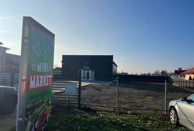 Spațiu comercial, în Mirila - 4
