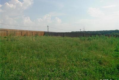 Teren de 900 mp, în Brănești