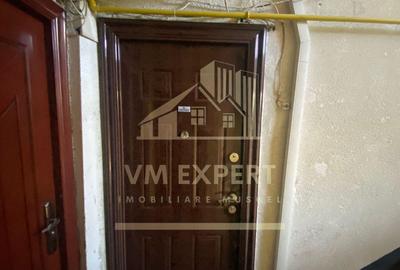 APARTAMENT 2 CAMERE ETAJ 2 ZONA VI?OI CAMPULUNG - 10