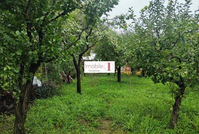 Casa versatila | zona Penny-Strand - 5