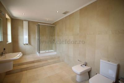 Vila Individuala de Inchiriat in Zona Iancu Nicolae - 6