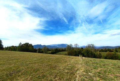 5800 mp fineata, pretabil camping, constructii A-frame, Sohodol, Bran - 4