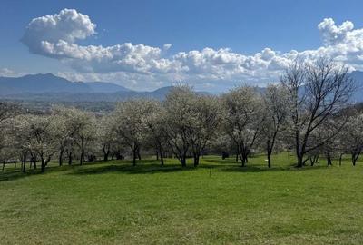 Teren de 3001 mp, în Bran - 5