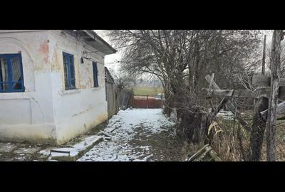 Casa + teren 4.021 mp in comuna Goie?ti - 5