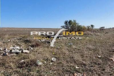 Teren de 1600 mp, în Sud - 3