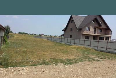 Teren de vanzare Dumbrava Roșie - 1