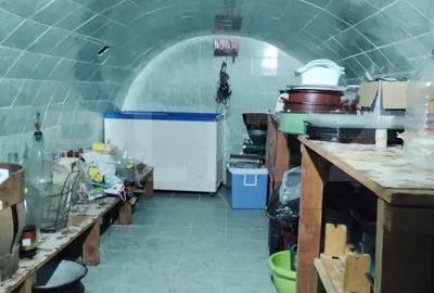 COMISION 0!Casa cu 2 apartamente, 210 mp, 1350 mp teren, in Vistea - 1