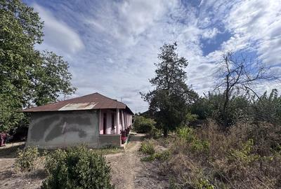 Casă cu 4 camere în Copaciu - 6