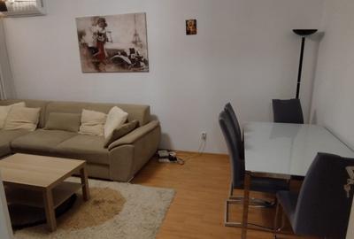 Apartament cu 3 camere decomandat, mobilat în Tineretului - 13