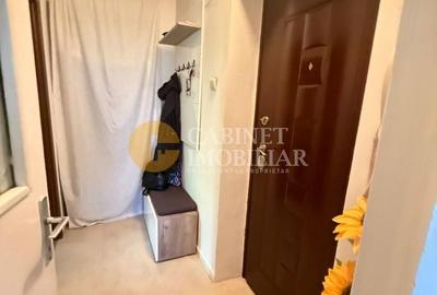 Apartament cu 2 camere decomandat, mobilat în Podu Roș - 9