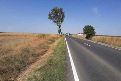 Teren de 5000 mp, în Central - 4