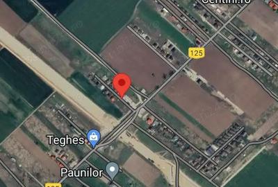 Teren de 600 mp, în Clinceni - 2