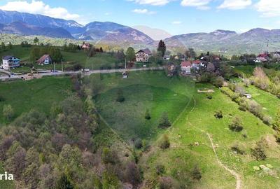 Teren de 2847 mp, în Moieciu - 3