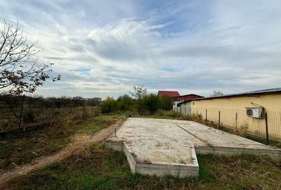 Teren pentru dezvoltare proiect imobiliar Domnesti-Centru - 6