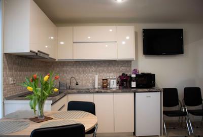 Casă cu 2 camere în Decebal - 7