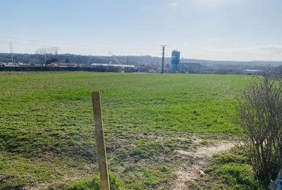 Spațiu comercial, în Lumina - 3