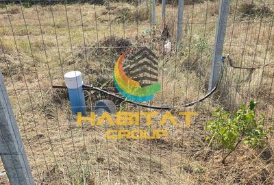 Vânzare Rapidă! Teren 500 mp cu Utilități – Măgurele - 4