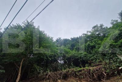 Casa in inimia Brasovului individuala la pret de apartament - 5