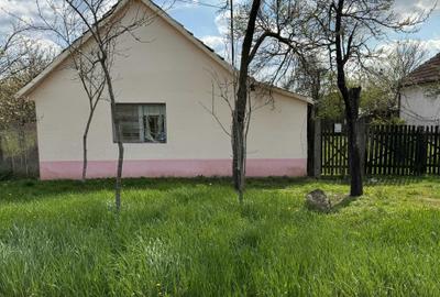 Casă cu 2 camere în Dragșina - 2