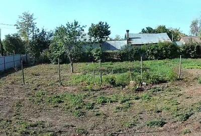 Teren de 2500 mp, în Tovărășia - 2