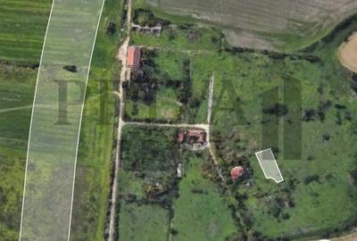 Teren de 750 mp, în Ronaț - 2