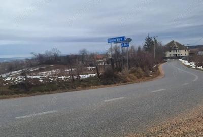 Teren de 2300 mp, în Dângău Mare - 1