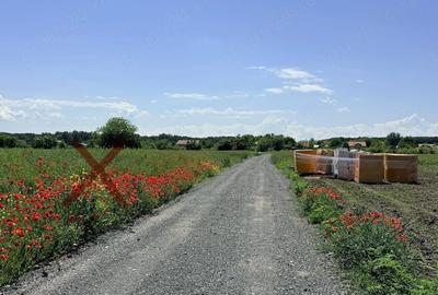 Teren de 5000 mp, în Mihai Vodă - 2