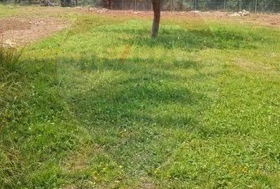 Casă cu 2 camere cu Teren 9035 Mp în Breb - 3