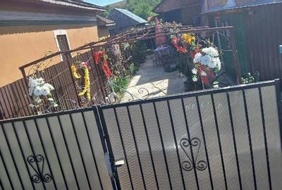 Casă cu Teren 2100 Mp în Tabaci - 4