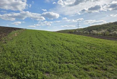 Spațiu comercial, în Central