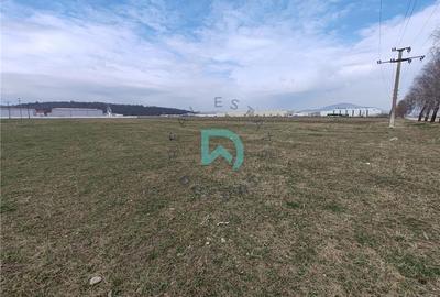 Teren intravilan de 6775 mp, în Bartolomeu - 7