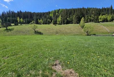 Teren de vanzare in Bucovina zona Pojorata pe Transrarau - 2