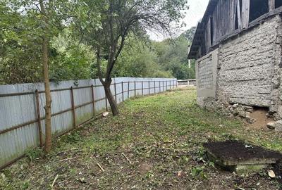 Casă cu 4 camere în Pârâu - 1