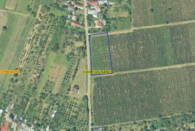 Teren de 4780 mp, în Dumbrăveni - 3