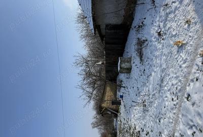 Casă cu 2 camere cu Teren 3700 Mp în Gămănești - 7