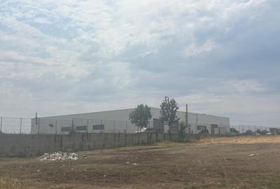 Teren extravilan 5000 mp, zona Pielesti Teren extravilan 5000 mp, zona Pielesti - 1