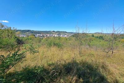 Teren intravilan in spatele Spitalului Jude?ean Re?i?a - 4