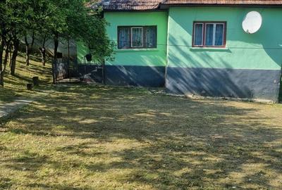 Casă cu 2 camere în Jichișu de Sus - 3