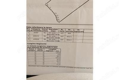 Teren de 140000 mp, în Drăgănești - 5